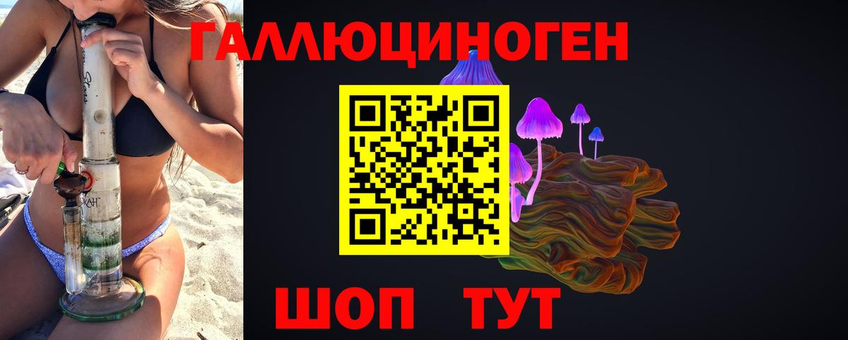 Псилоцибиновые грибы Cubensis Сухой Лог